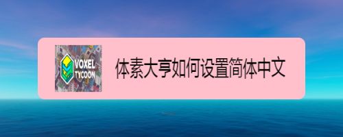 体素大亨如何设置简体中文