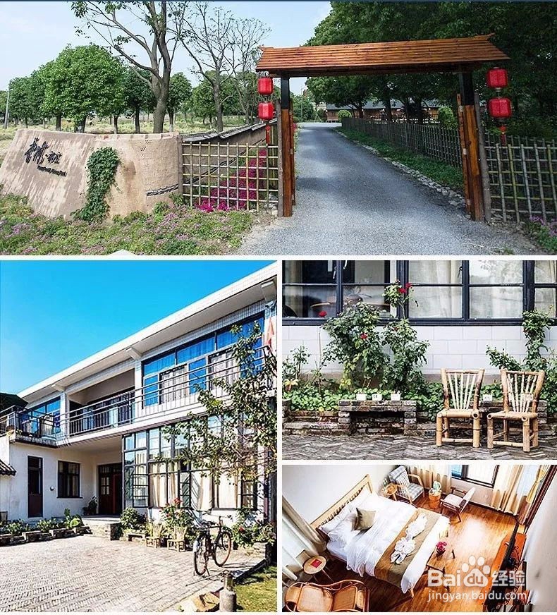 秋色渐浓,在香村遇见金色周庄