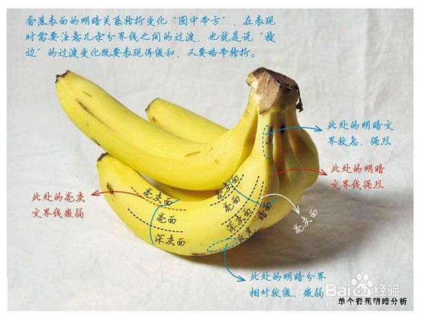 如何画香蕉、水果刀、老虎钳、青菜、布娃娃素描