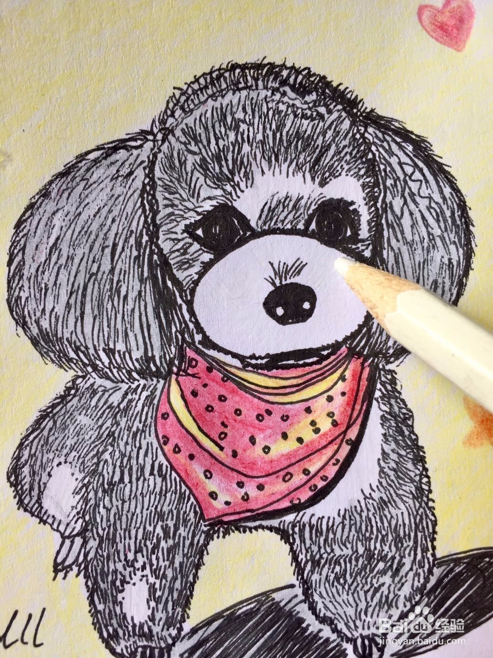 茉莉彩铅手绘之萌宠泰迪