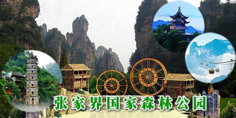 五一张家界自助游