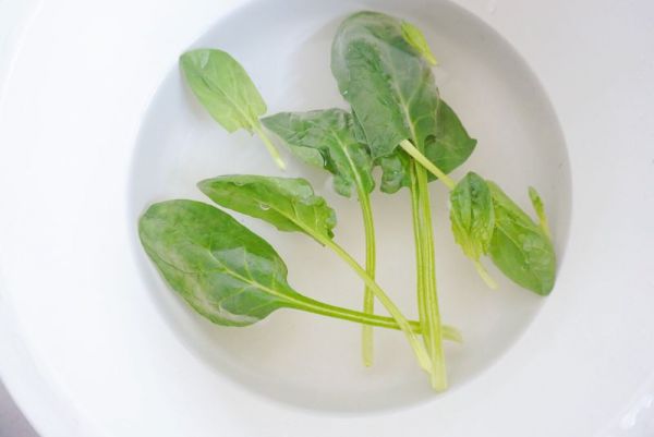 番茄菠菜粒粒面