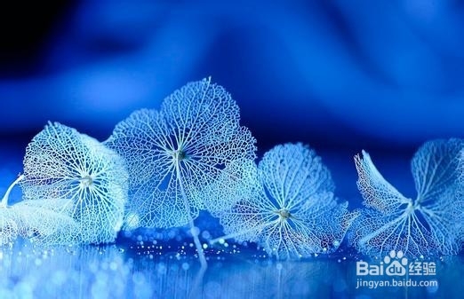 食盐是万能的你知道吗22