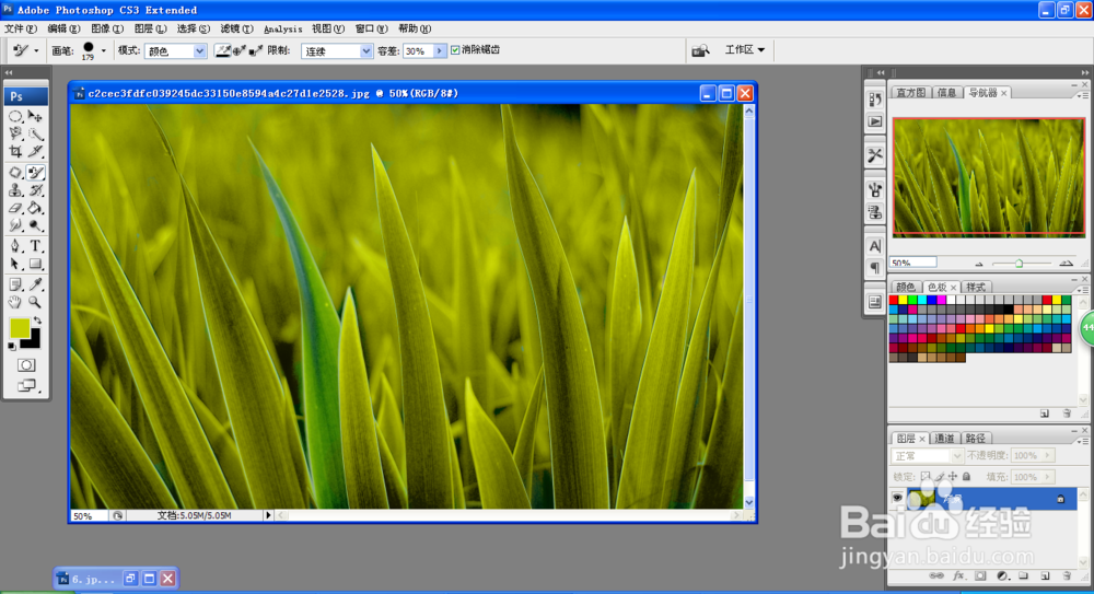 如何使用颜色替换工具改变图片