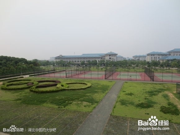 【湖中医小y学长大放送】湖中医导游篇