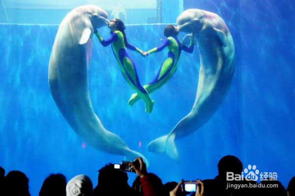 去哈尔滨旅游，都值得去哪呢？