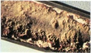 爱车1号：无水冷却液怎样您的保护发动机？