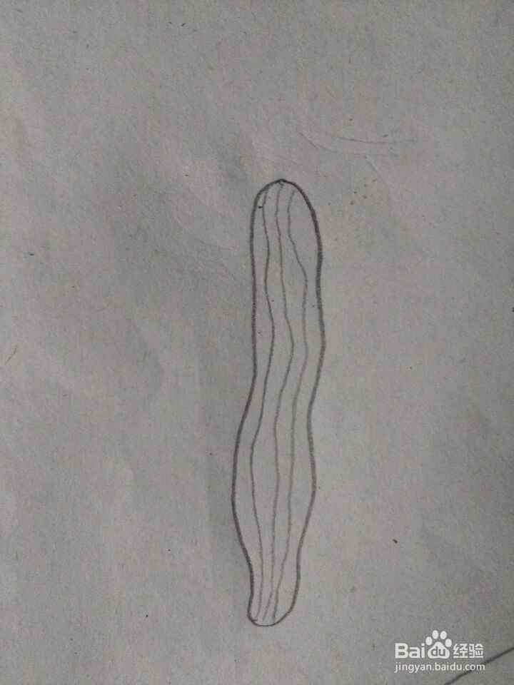 丝瓜简笔画怎么画