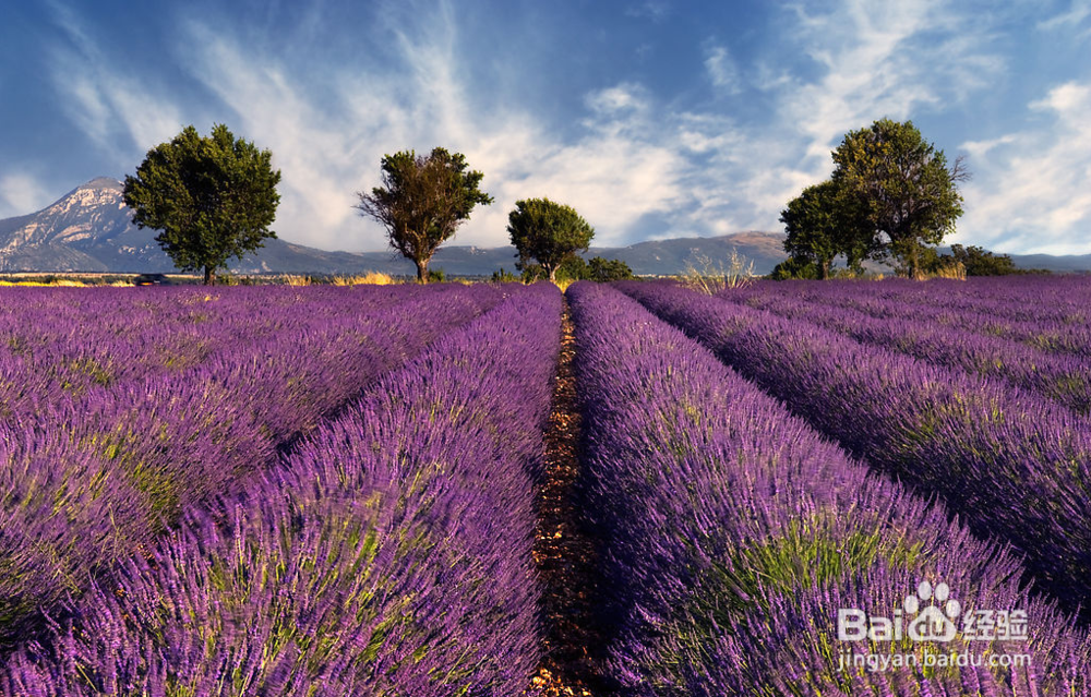 如何去控制情绪