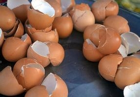 怎样清理厨房？