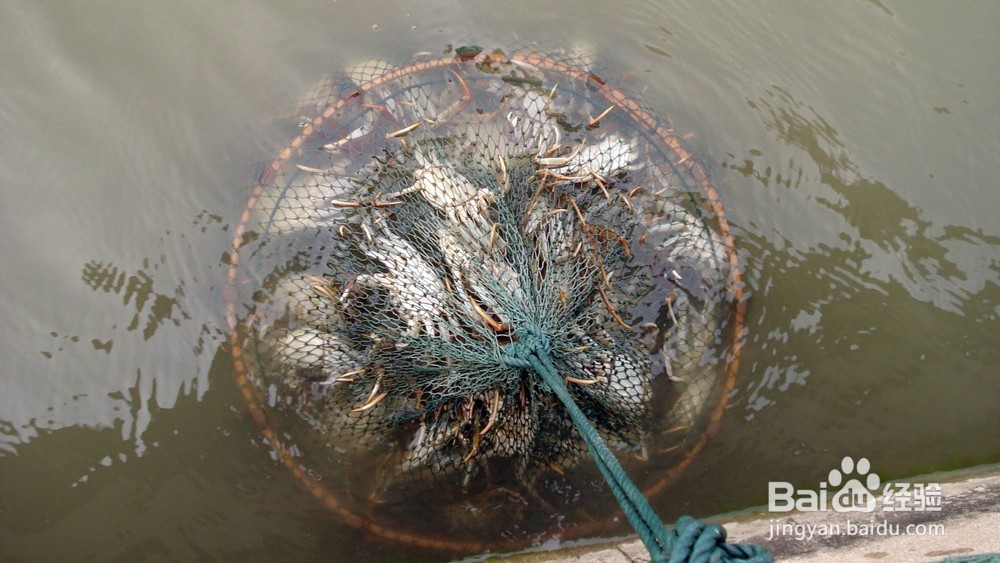 浪漫的高邮湖船屋民宿