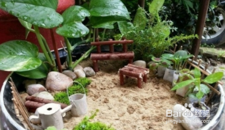 最简单庭院自制小花园