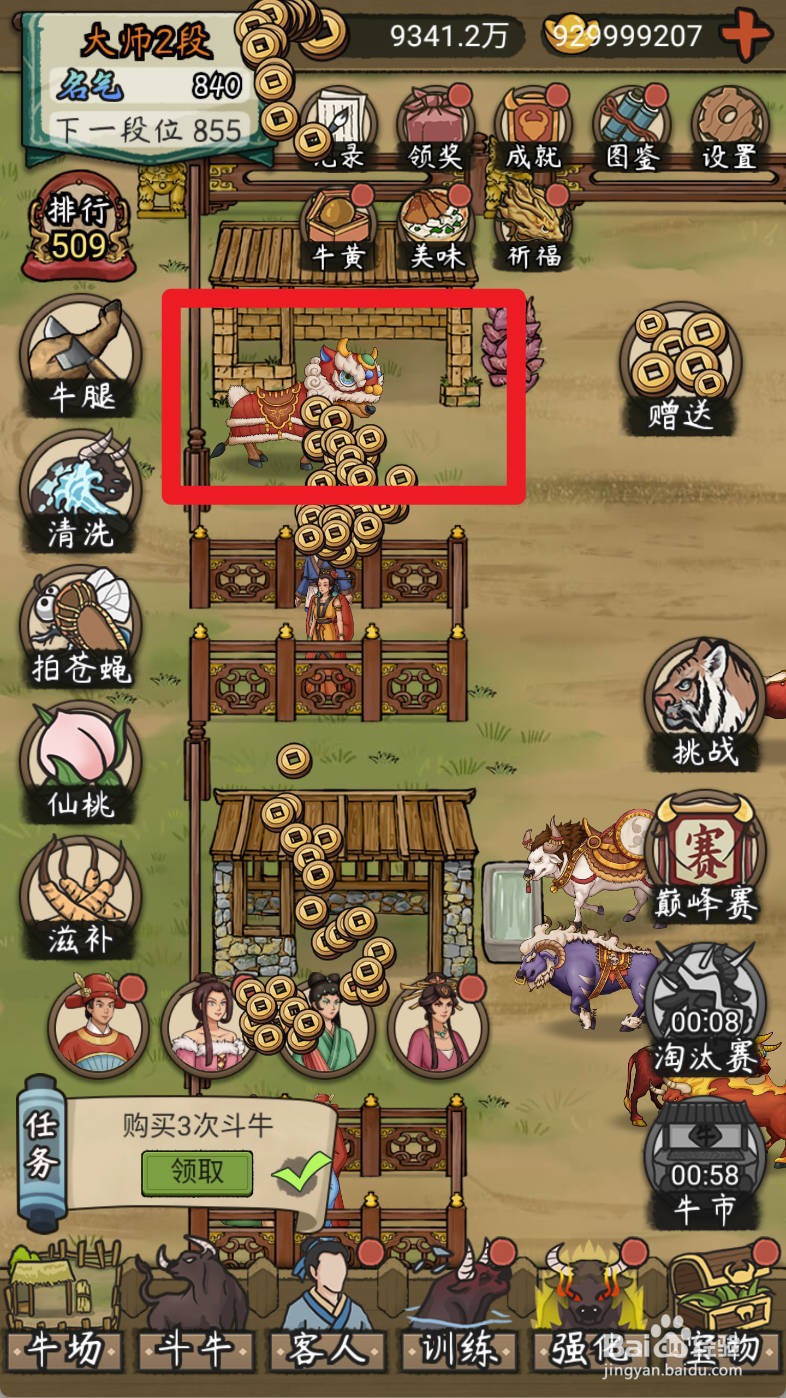 叫我养牛王如何购买爱喝热水的狮子牛