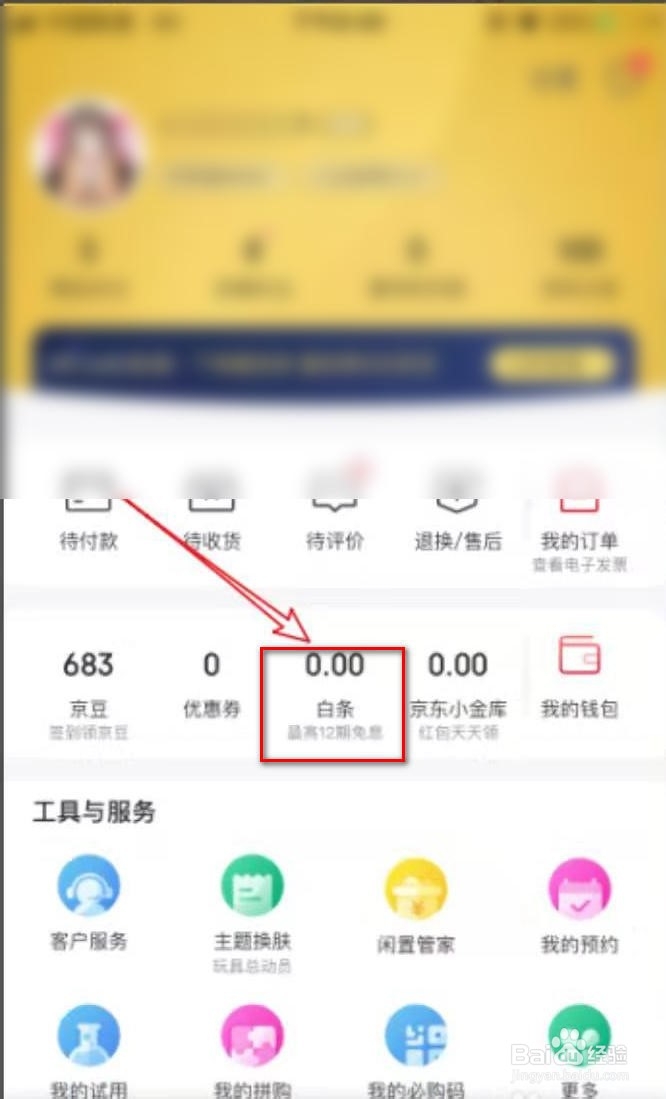 如何在京东白条上借钱