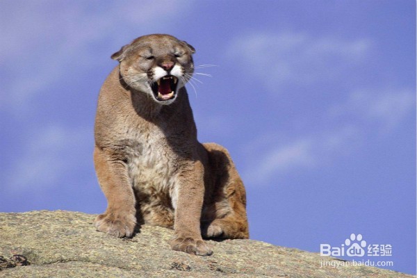 小孩子周末不上学,都能去干什么呢?
