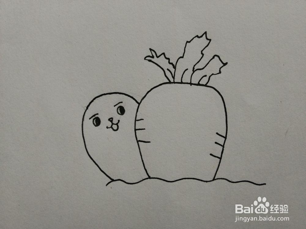 简笔画——怎么画小兔子和胡萝卜