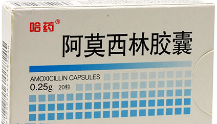 家庭用药——肾不好的人用药注意