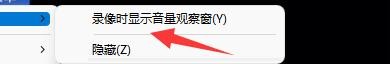 如何设置摄像头录像大师录像时显示音量观察窗
