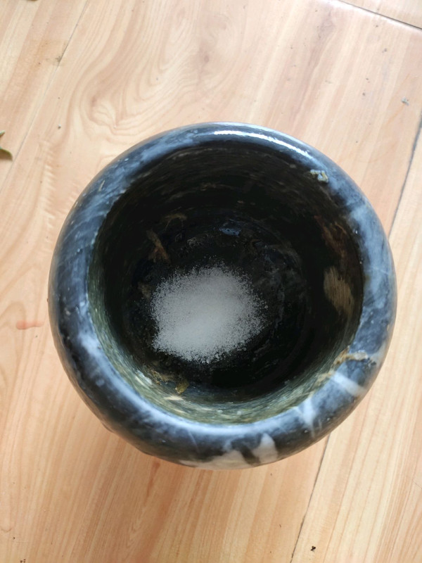 野味小菜凉拌马齿苋