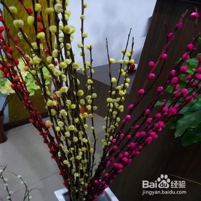 适合新年家中摆放的花 百度经验