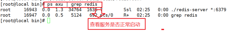 Linux启动和测试操作