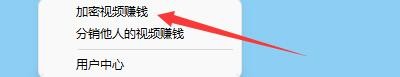 雀大师如何设置加密视频