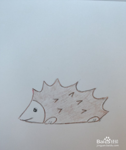 简笔画画刺猬