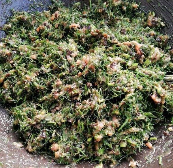 鸡汁猪肉茴香饺子