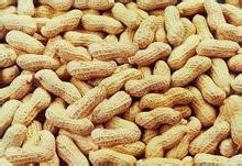 吃什么食物瘦腿