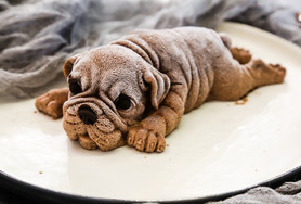 网红沙皮狗慕斯蛋糕简单做法