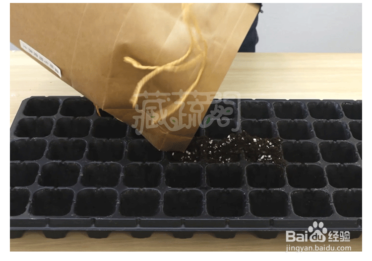 如何在阳台上种满瓜类蔬菜 打造美美的阳台