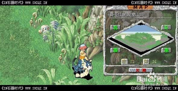 石器时代任务哥亚山小猪传情任务