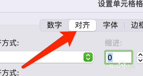Mac版Excel如何缩小字体填充？