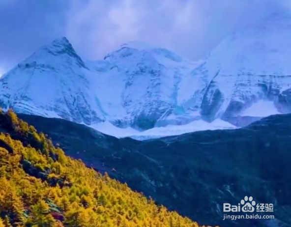 保护环境15条做法