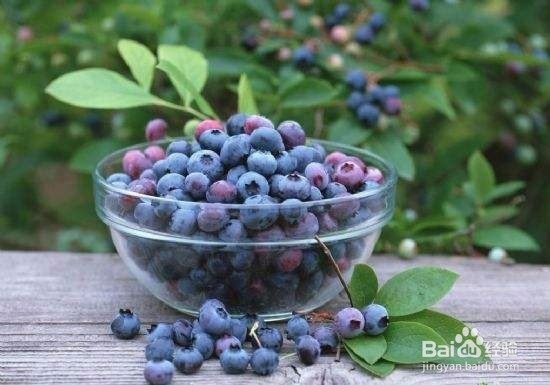 春季保护眼睛推荐你多吃六种水果