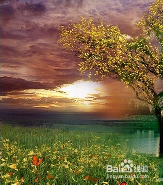 如何过上自然的生活-健康生活：[4]小经验