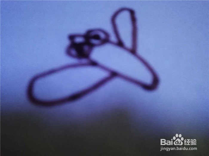 怎么样用简笔画画蜻蜓