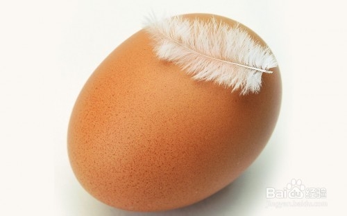 如何挑选新鲜鸡蛋?
