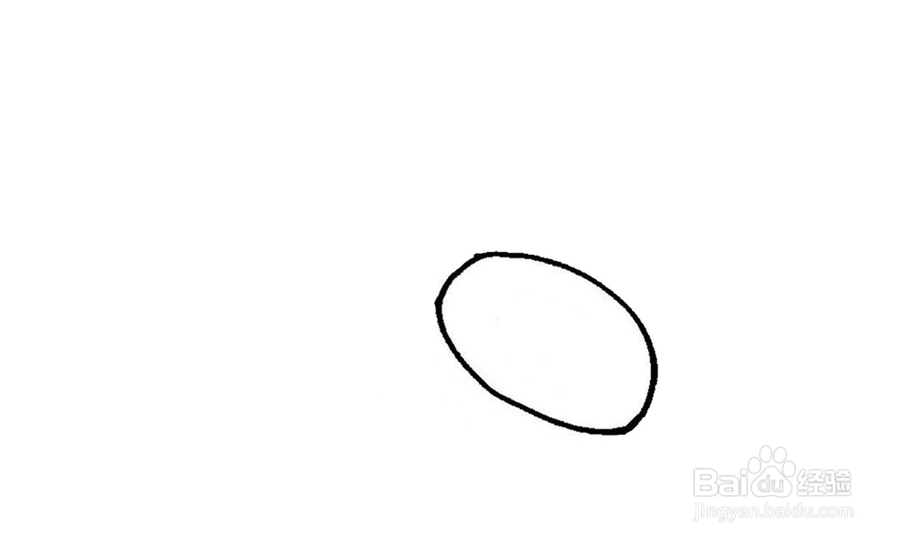 如何画一个好吃的猕猴桃？