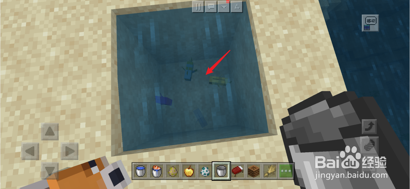 我的世界手机版怎么抓活鱼