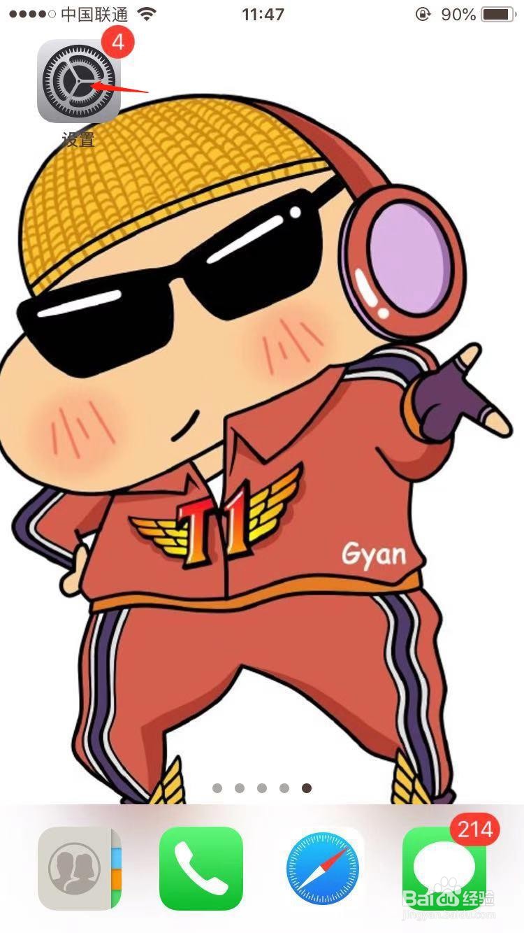 苹果手机怎么查看密码与账户