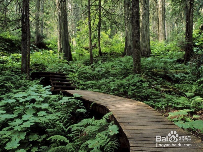 我们拼命赚钱是为了什么