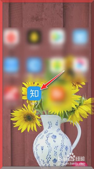 知乎怎么上传个人视频作品