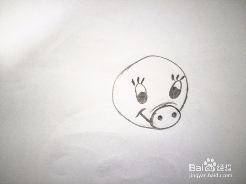 简笔画—卡通猪的画法