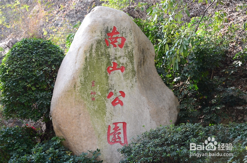 【深圳免费景点篇】深圳南山公园游玩攻略