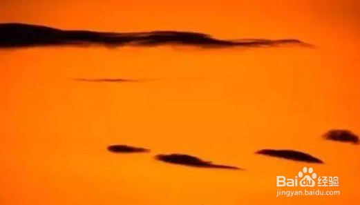 拍出好片的9个黄金法则