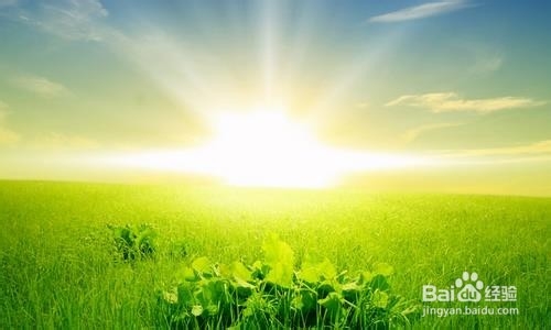 神经官能症的自我治疗方法及步骤