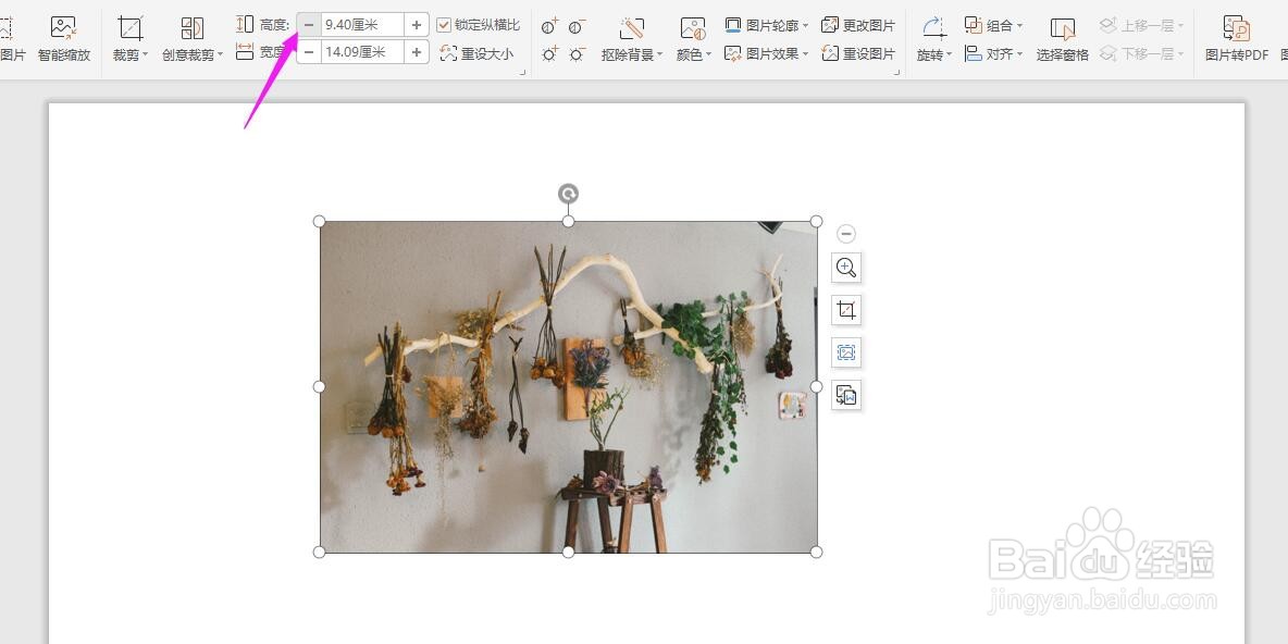 PPT中图片大小如何调整？