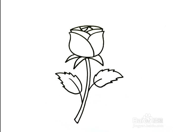 卡通玫瑰花的画法