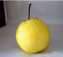 一道止咳润肺的甜品